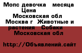 Мопс девочка 4 месяца › Цена ­ 45 000 - Московская обл., Москва г. Животные и растения » Собаки   . Московская обл.